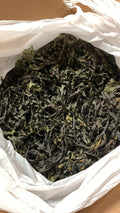 Bladder Wrack Fucus Vesiculosus wildcrafted