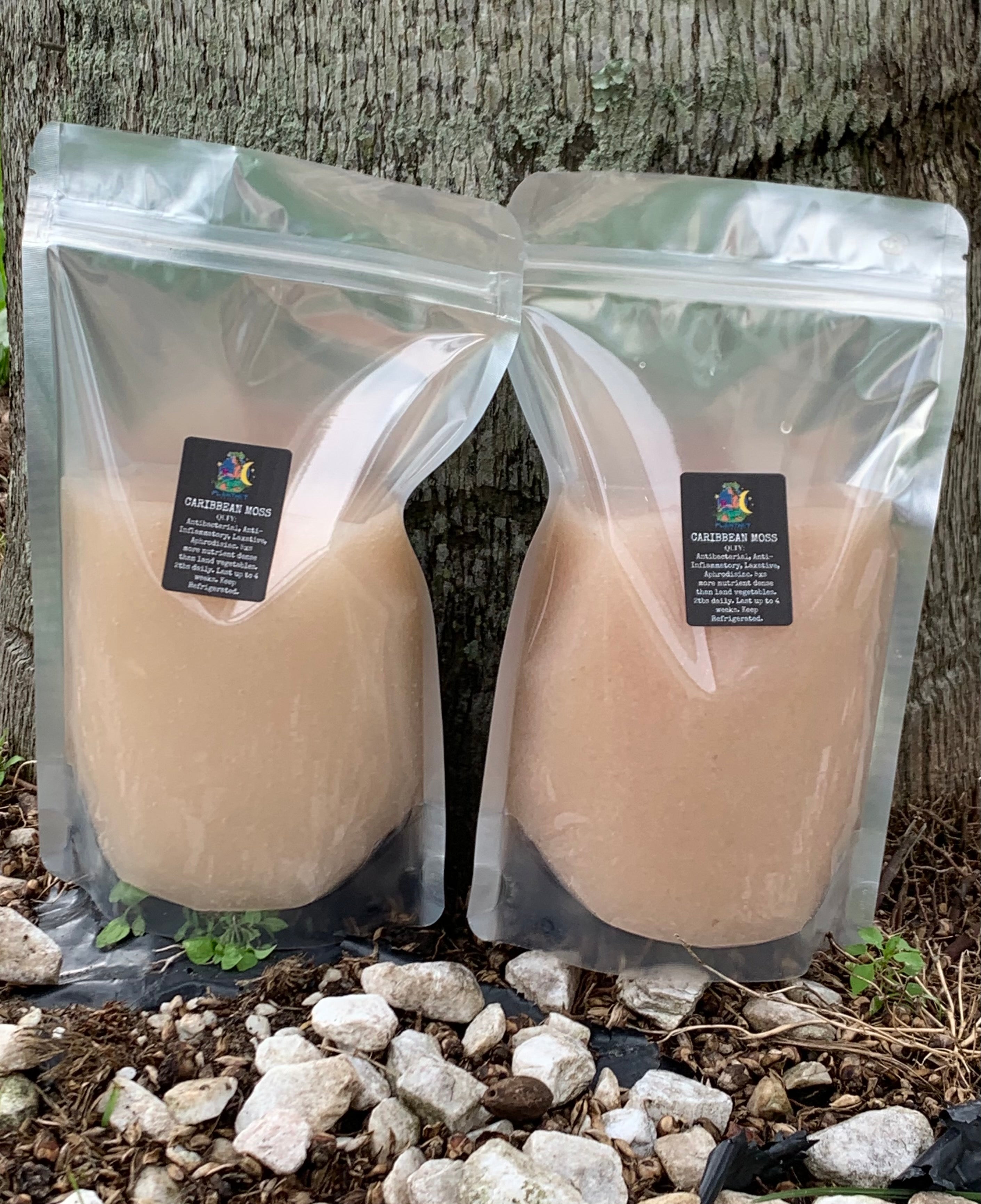 Irish Moss  Chondrus Crispus (Gels) Gold, or  Purple, Full Spectrum, Super Food, , Sea Vegetable, nutrient dense,  1 or 2, 16oz Gels.