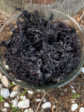 Irish Moss Peruvian